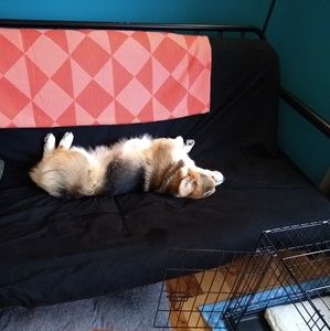 Meet your Posher, Stacy